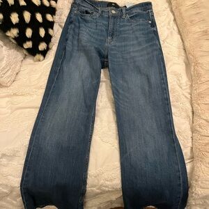 Banana Republic Blue Flare Wide Leg Jeans